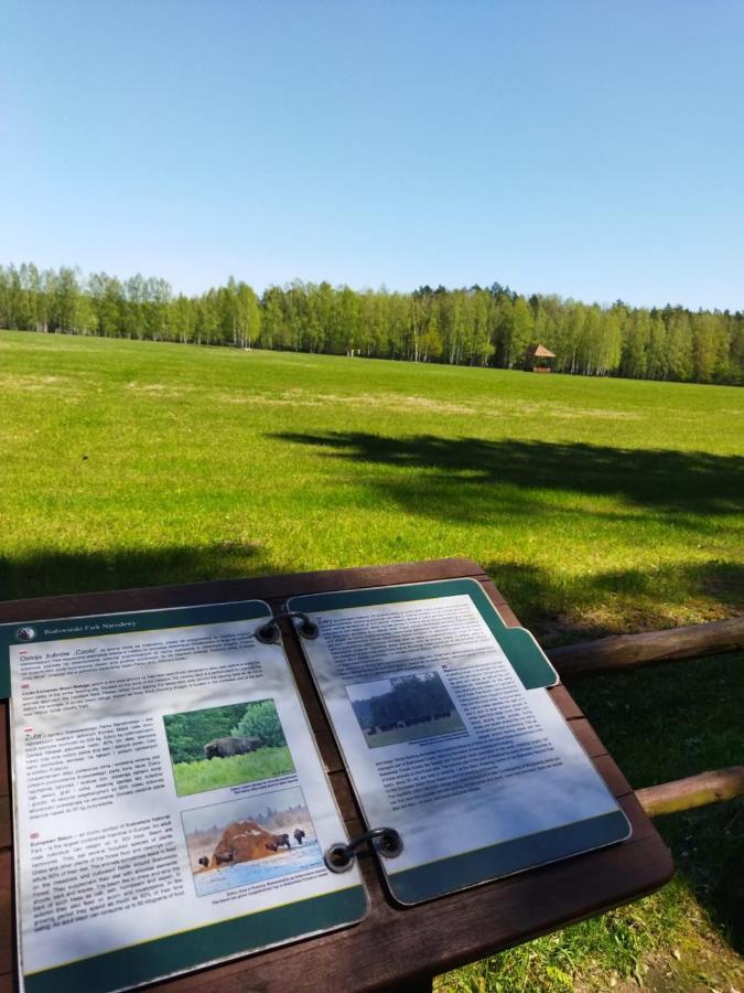 Przy Lesie Βίλα Białowieża Εξωτερικό φωτογραφία